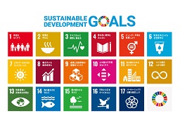 SDGs VR[|[V̎g